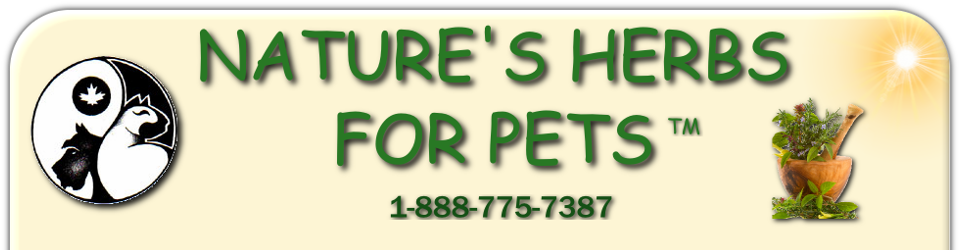 Nature's Herbs For Pets Header Image